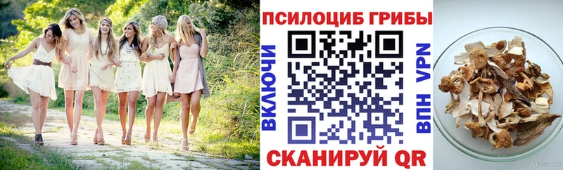 Псилоцибиновые грибы MAGIC MUSHROOMS  купить наркотики сайты  Прохладный 